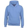 Heavy Blend? youth hooded sweatshirt  Carolina Blue