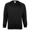 Kids Coloursure™ sweatshirt Black