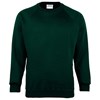 Kids Coloursure™ sweatshirt Bottle Green