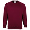 Kids Coloursure™ sweatshirt Burgundy