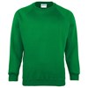 Kids Coloursure™ sweatshirt Emerald