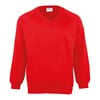Kids Coloursure™ v-neck sweatshirt Red