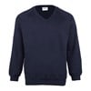 Coloursure™ v-neck sweatshirt Navy*