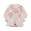 Mumbles Printme mini teddy MM060 Pink Bunny