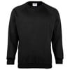 Kids Coloursure™ sweatshirt Black