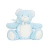 Printme mini teddy  Blue Teddy