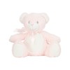 Printme mini teddy  Pink Teddy