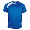 Short sleeve sports t-shirt Royal Blue/ White/ Storm Grey