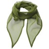 Chiffon scarf Oasis Green