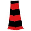 The supporters scarf Red/ Black
