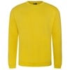 Pro sweatshirt RX301YELL2XL Yellow