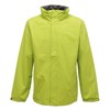 Ardmore waterproof shell jacket Keylime / Seal Grey
