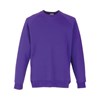 Classic 80/20 kids raglan sweatshirt Purple